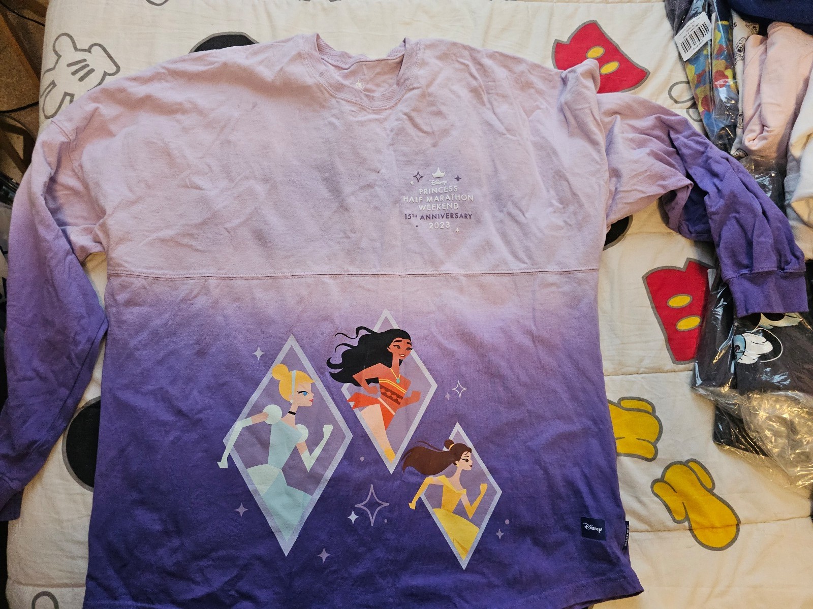 DISNEY Run Disney 2023 Princess Spirit Jersey SZ Large