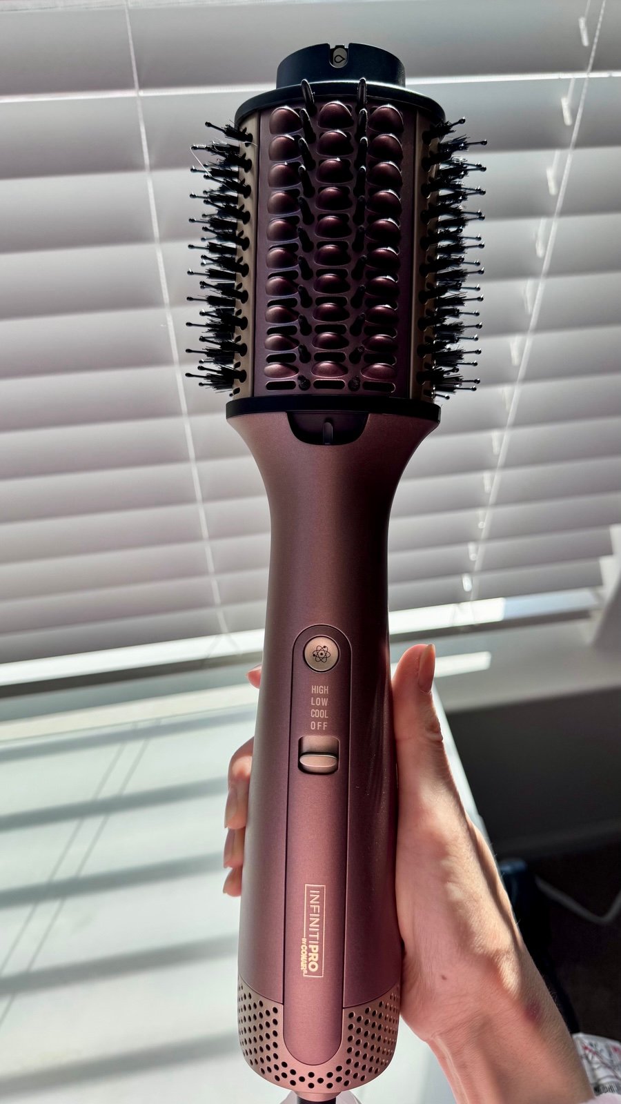 Conair 2-in-1 Wet-to-Dry Hair Styler