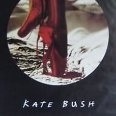 Kate Bush - The Red Shoes (40 x 60 ) huge subway poster rock icon excellent