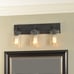 Regan 21 in. 3-Light Espresso Bronze Bathroom Vanity Light with Clear Glass Shad