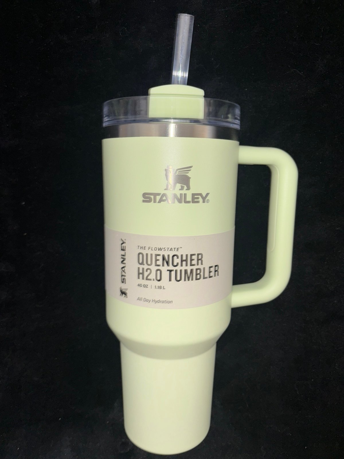 Stanley Light Green 40oz Tumbler Stainless Steel H2.0 Flowstate Quencher Tumbler