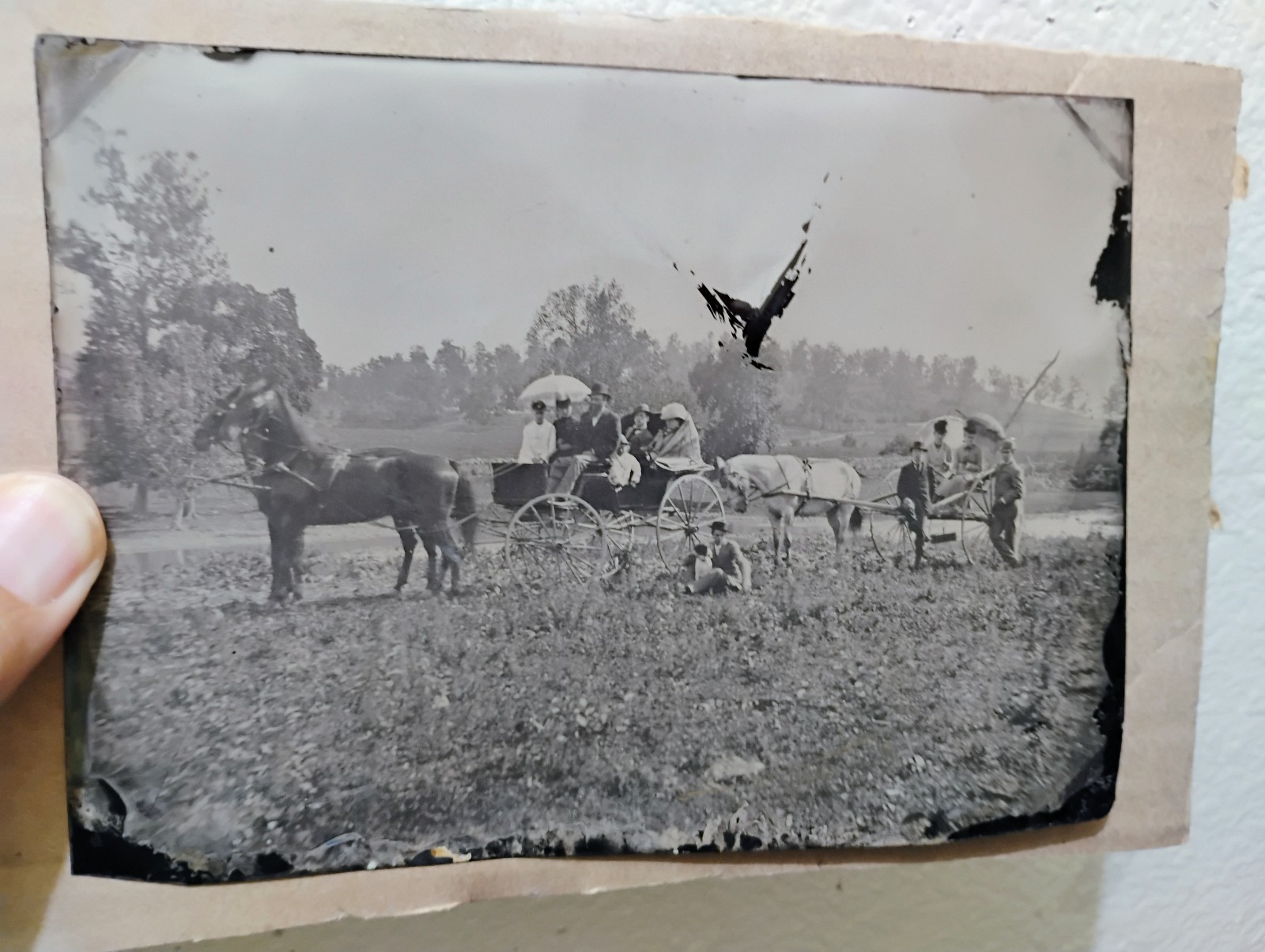 Antique photo tintype large plate 5x7 of carriages people and horses 1880s