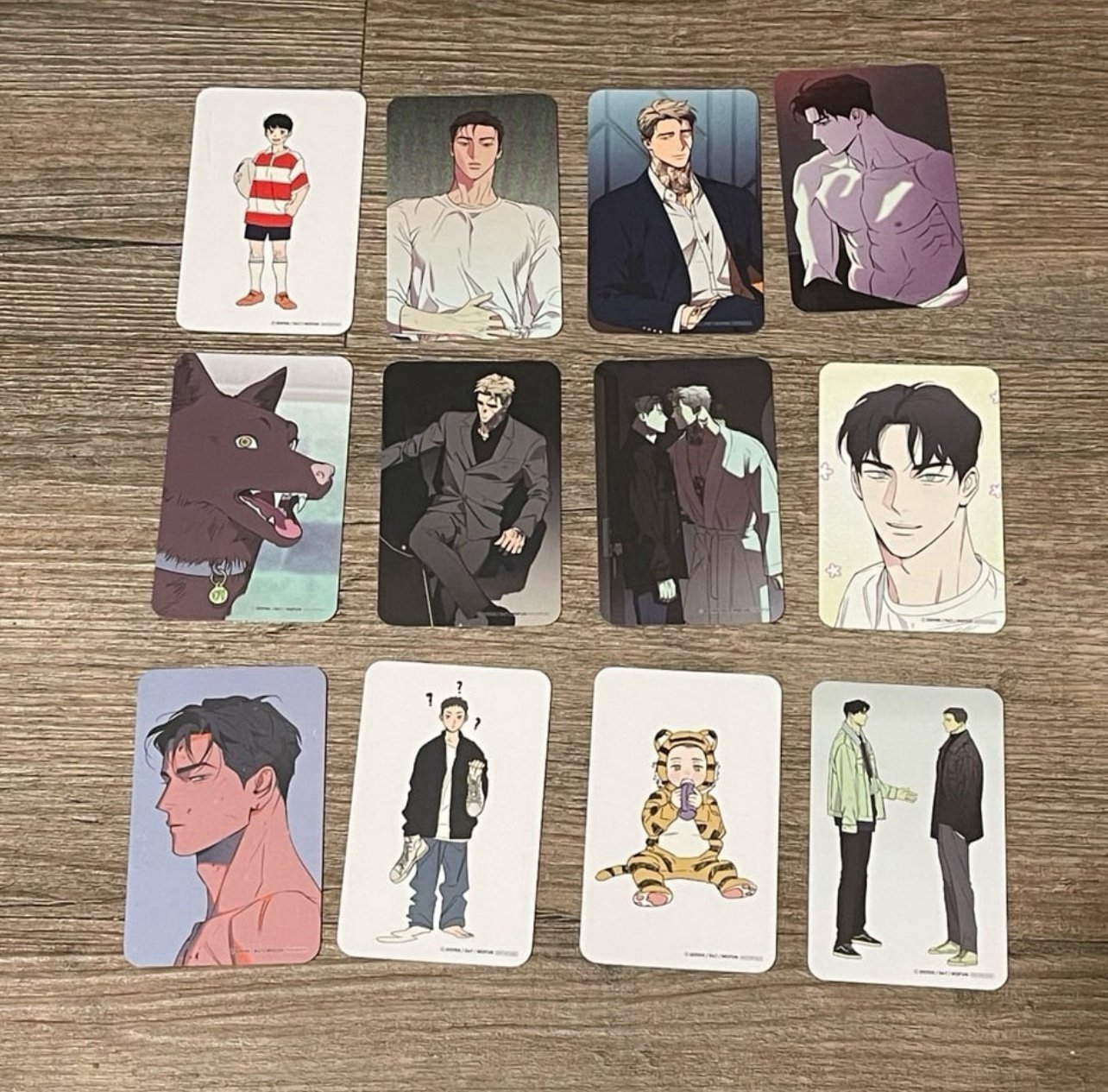Wet Sand 12 photocards mofun