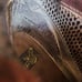 Freebirds Womens Dark Brown Leather Shena Stuffed Belted Booties 7