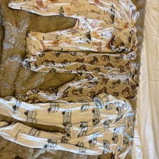 Larkspur newborn zippies
