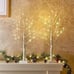 Christmas Decorations Indoor, 2 FT Birch Tree with LED Lights, Fairy Lights