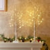 Christmas Decorations Indoor, 2 FT Birch Tree with LED Lights, Fairy Lights