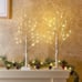 Christmas Decorations Indoor, 2 FT Birch Tree with LED Lights, Fairy Lights