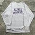 Vintage Champion Reverse Weave Alfred University Sweatshirt