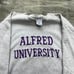 Vintage Champion Reverse Weave Alfred University Sweatshirt