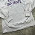 Vintage Champion Reverse Weave Alfred University Sweatshirt