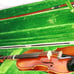 1969 3/4 (22 /52 cm) Size E.R. Pfretzchner German Handcrafted Student Violin