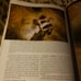BEST OF PHOTOGRAPHIC LIGHTING