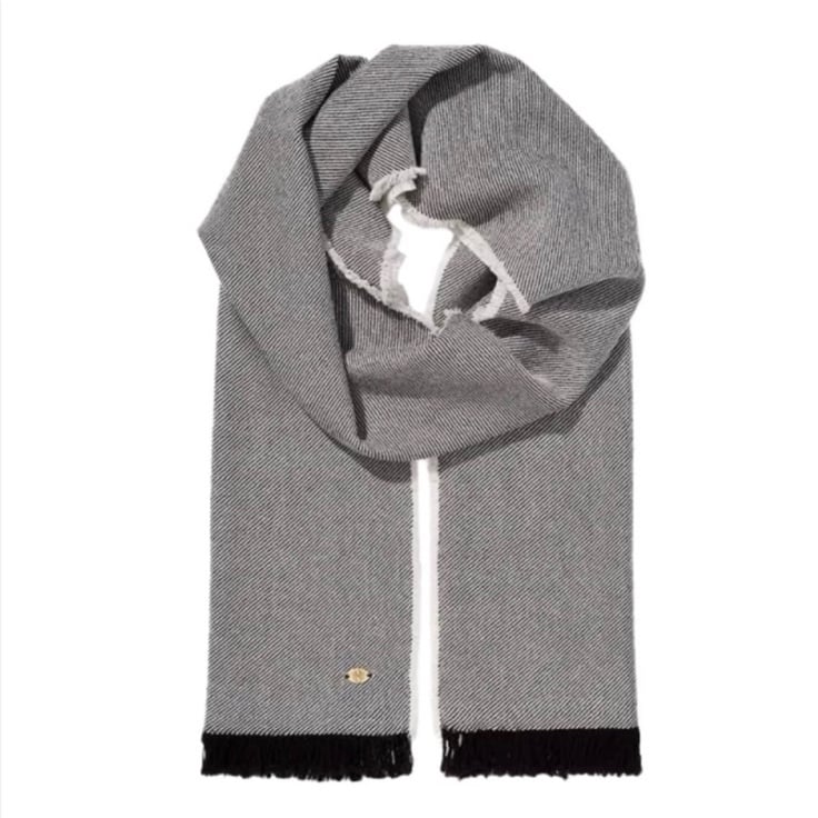NWT Alex And Ani Gabriel Scarf
