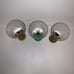 Set of Three Carnival Cruise Round Jigger Colorful Shot Glasses