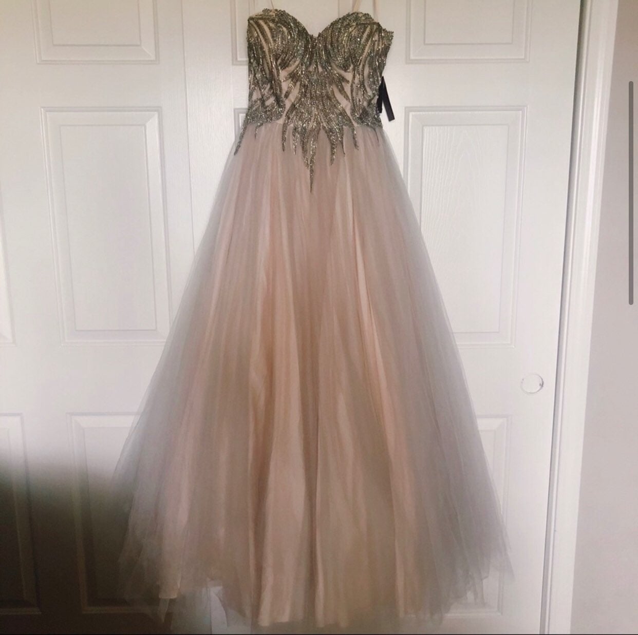 Glamour by Terani Couture gown