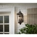 Williamsburg 17.12 in. Gas Style 2-Light Outdoor Wall Mount Coach Light Sconce
