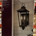Williamsburg 17.12 in. Gas Style 2-Light Outdoor Wall Mount Coach Light Sconce
