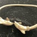 Sterling silver dolphin bracelet