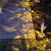 Solar Lights Outdoor Waterproof, 6 Pack LED Solar Garden Lights