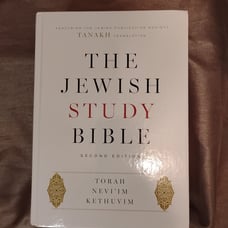 The Jewish Study Bible second edition