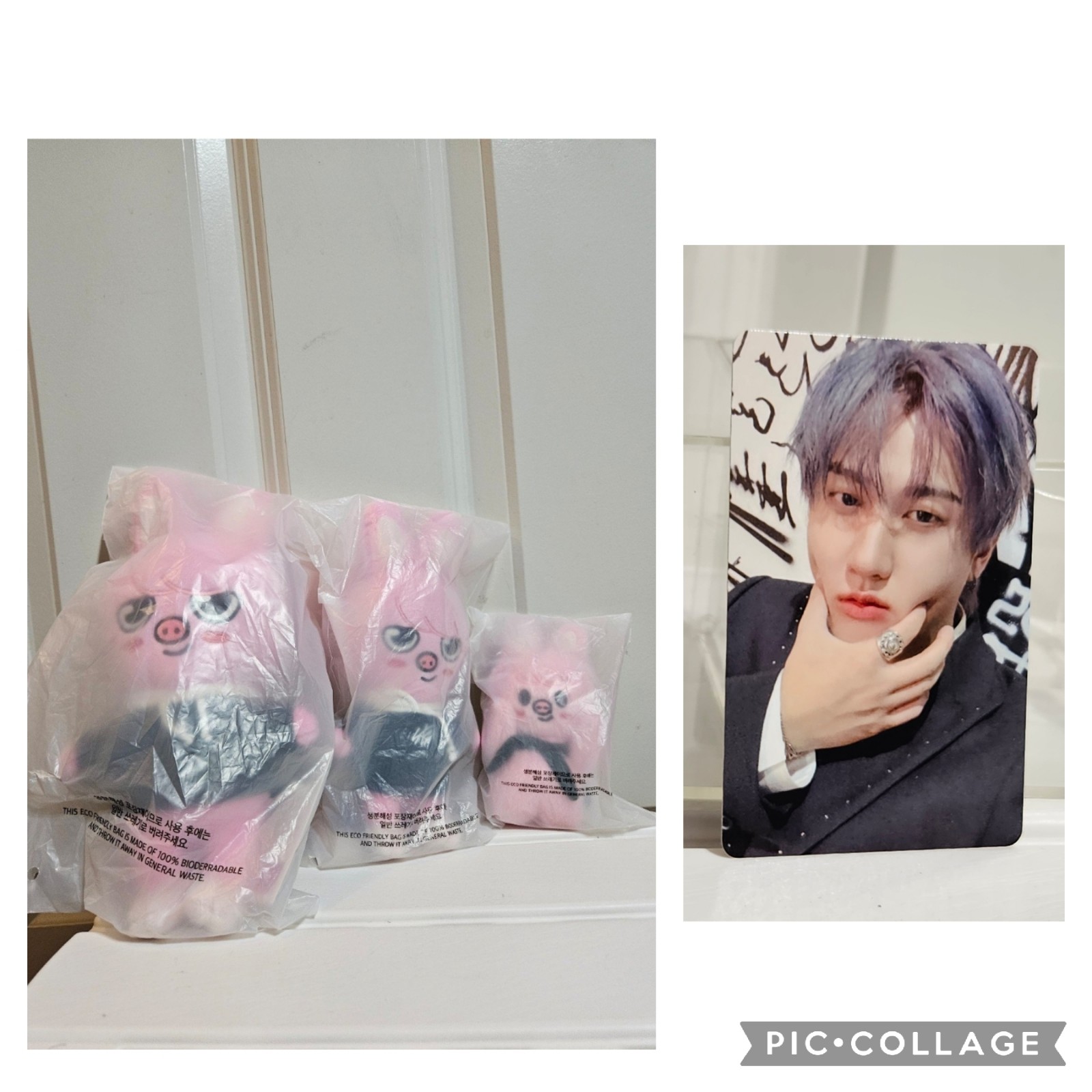Stray kids Skzoo plush Original ver and Mini Dwaekki keychain set B