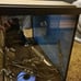 fish tank (please message)