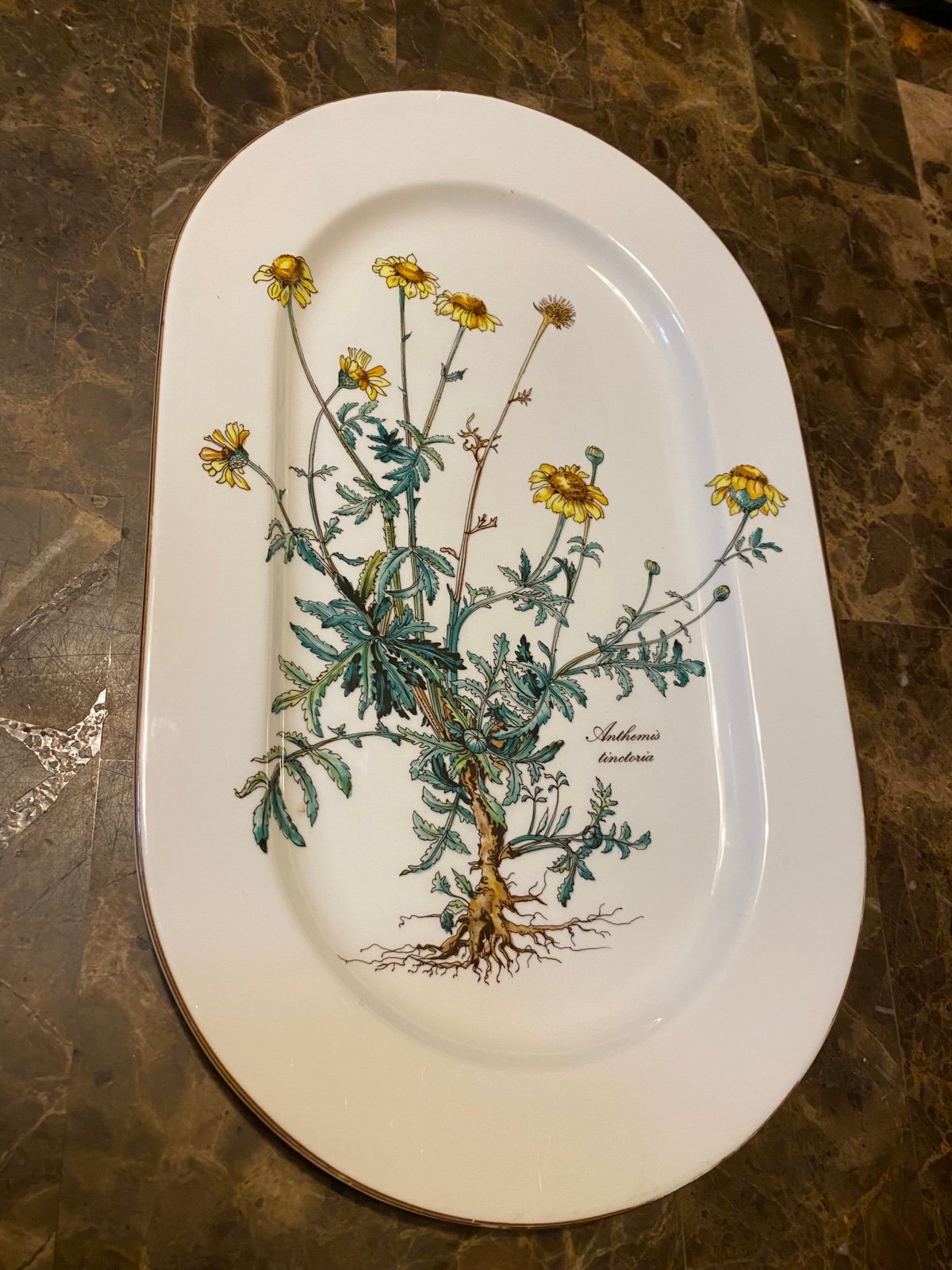 VILLEROY & BOCH BOTANICA 13” Oval Serving Tray Platter Floral Garden Luxembourg