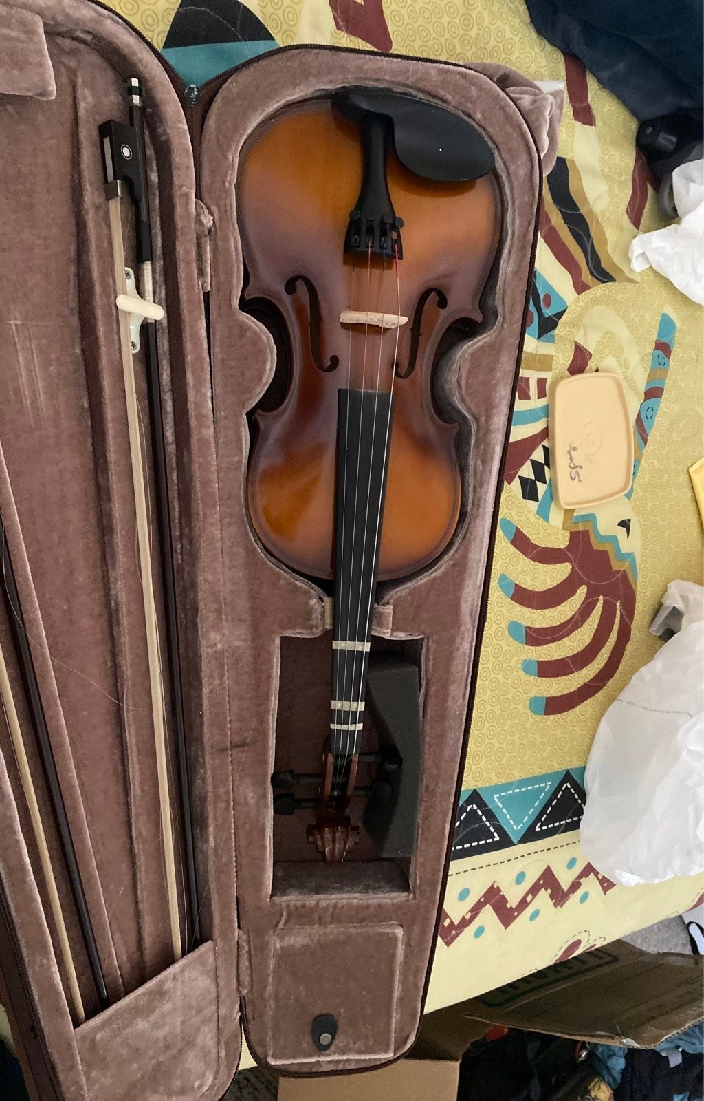 Violin