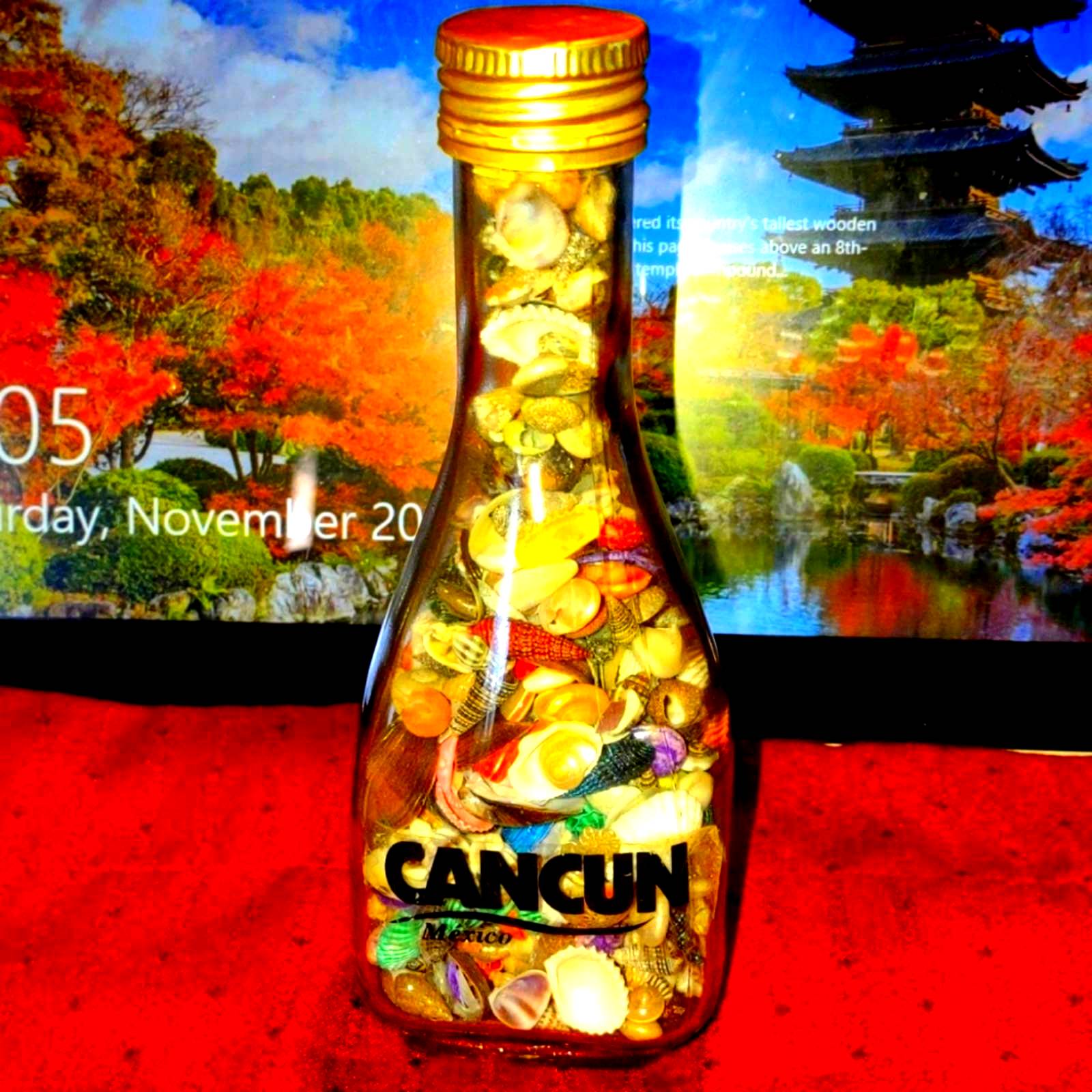 STRANGE AND UNUSUAL~Seashells from Cancun Mexico Beaches~Vtg. beach in a bottle