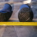 Neoprene Dog Boots Medium