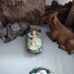 Hand Painted Nativity Set 13 Pieces