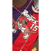 MITCHELL & NESS NBA SPLIT SWINGMAN JERSEY TORONTO RAPTORS 1998 VINCE CARTER Sz S