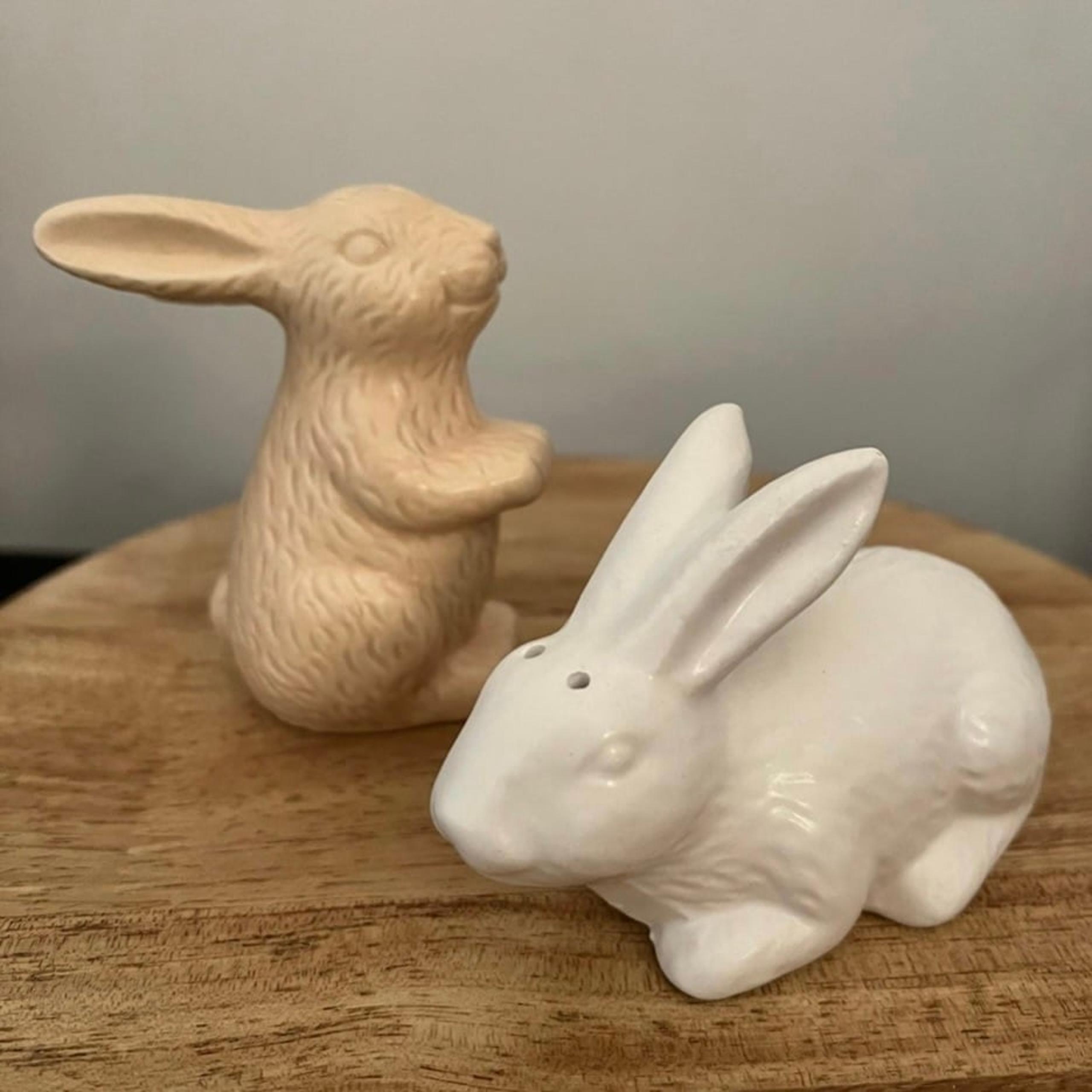 Target BP Easter Bunny Salt & Pepper Shakers - Spring