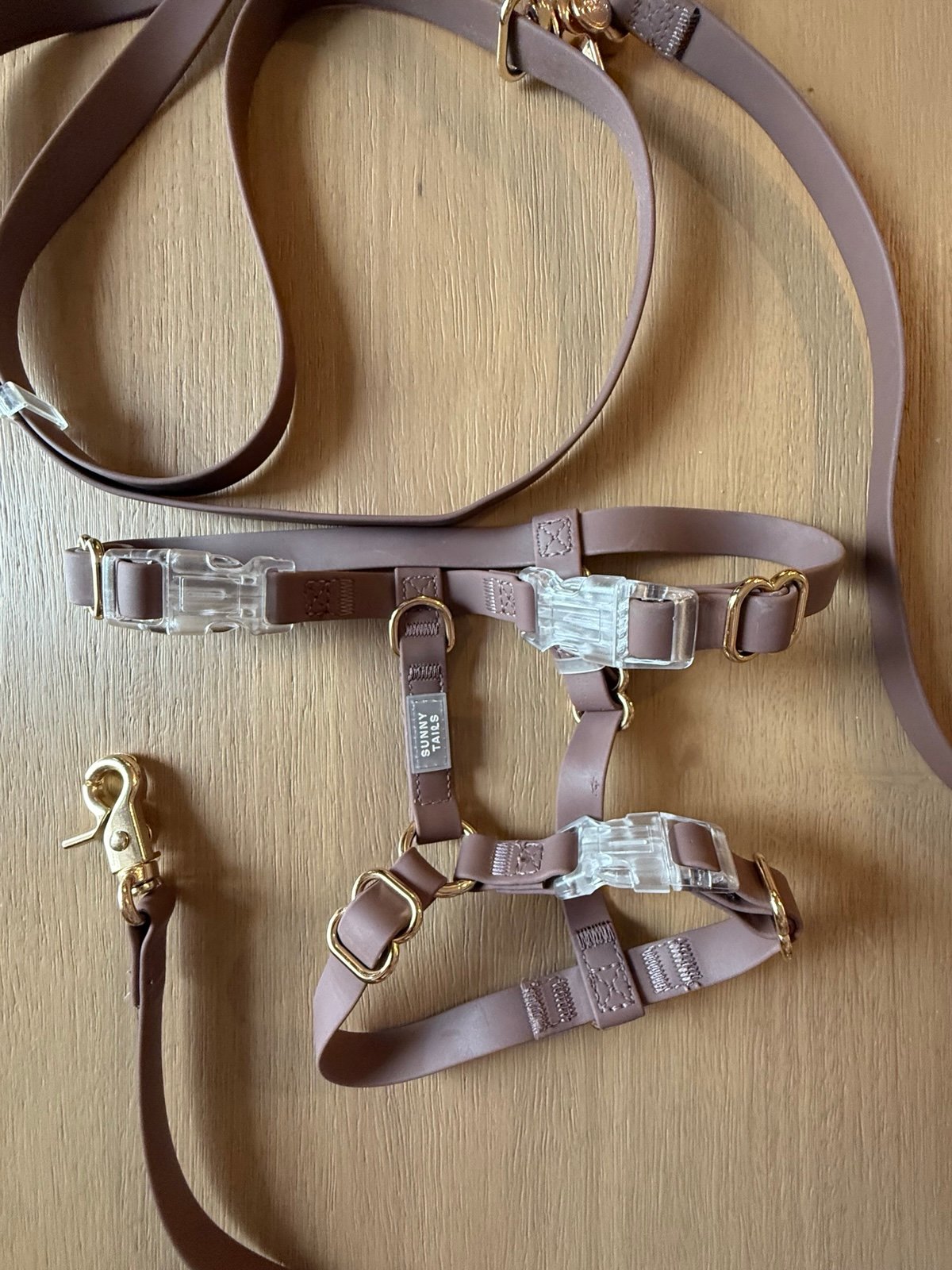 Espresso Brown Sunny Tails Handsfree Leash & Collar