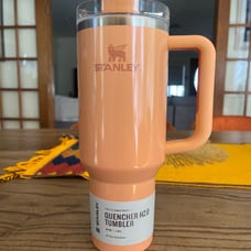 NEW STANLEY BELLINI SHIMMER WHOLE-FOODS EXCLUSIVE