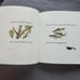 We Went Looking by Aileen Fisher Illustrated 1st Edition Hardcover Book