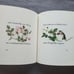 We Went Looking by Aileen Fisher Illustrated 1st Edition Hardcover Book
