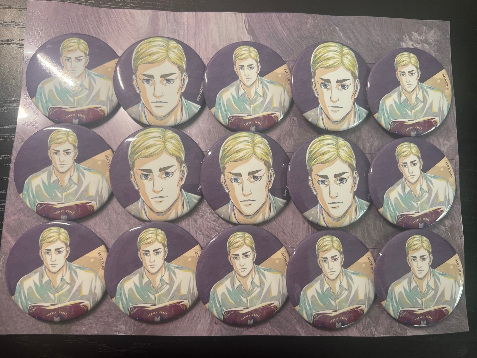 Attack on Titan Erwin Badges – Set of 15