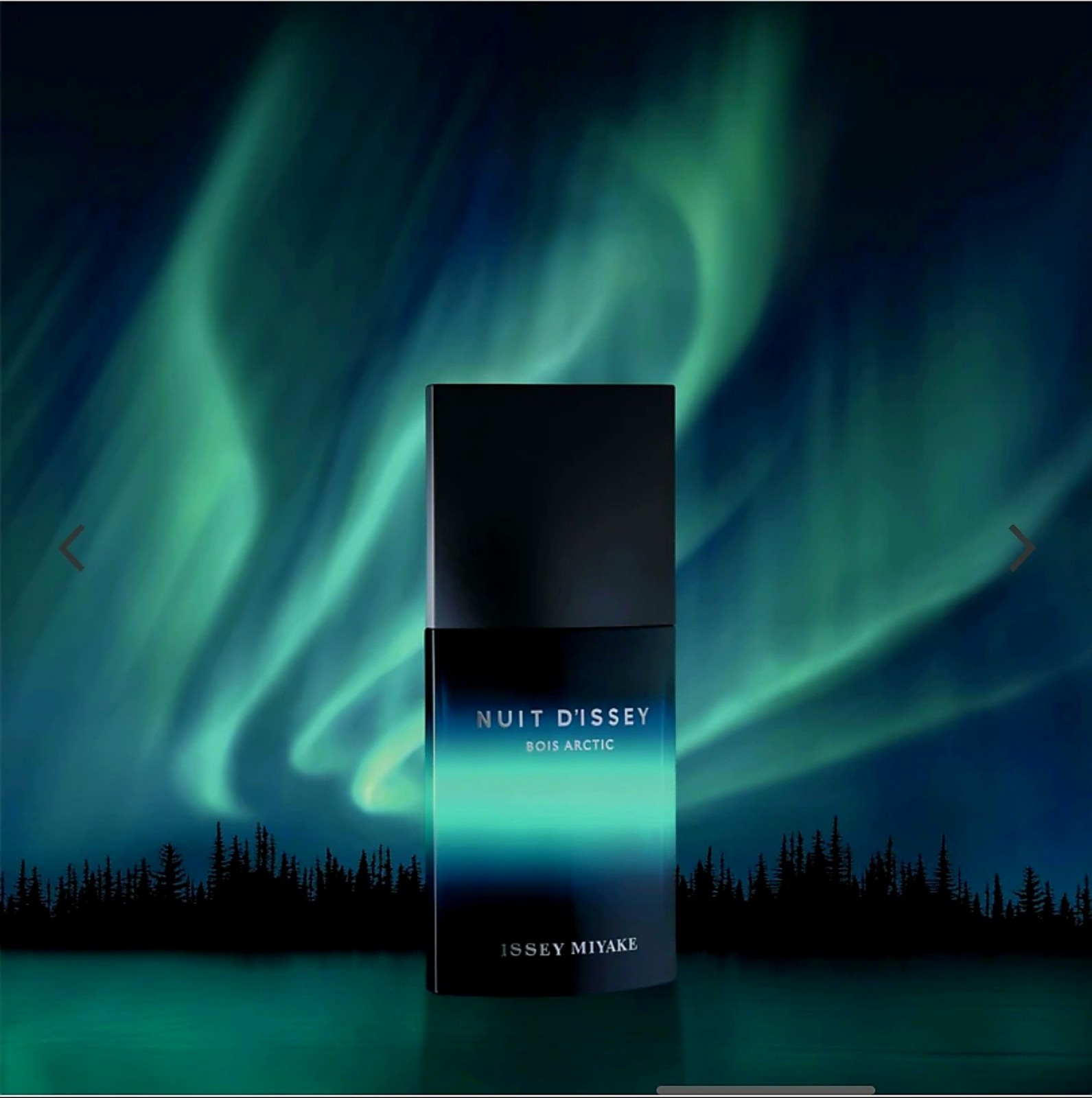 Issey Miyake Nuit d'Issey Bois Arctic EDP 3.3 FL.OZ.
