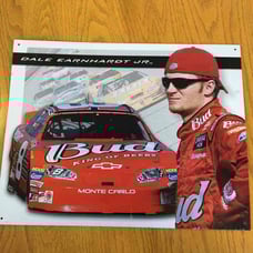 Dale Earnhardt JR Metal Sign