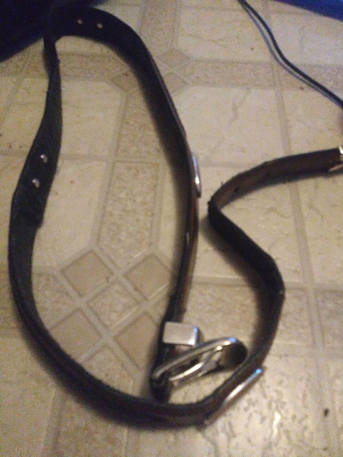 Brown Belt