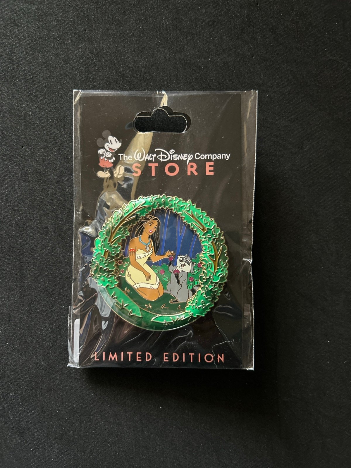 Disney DEC Expo 2024 Seasons of Friendship Summer Pocahontas & Meeko LE300 Pin