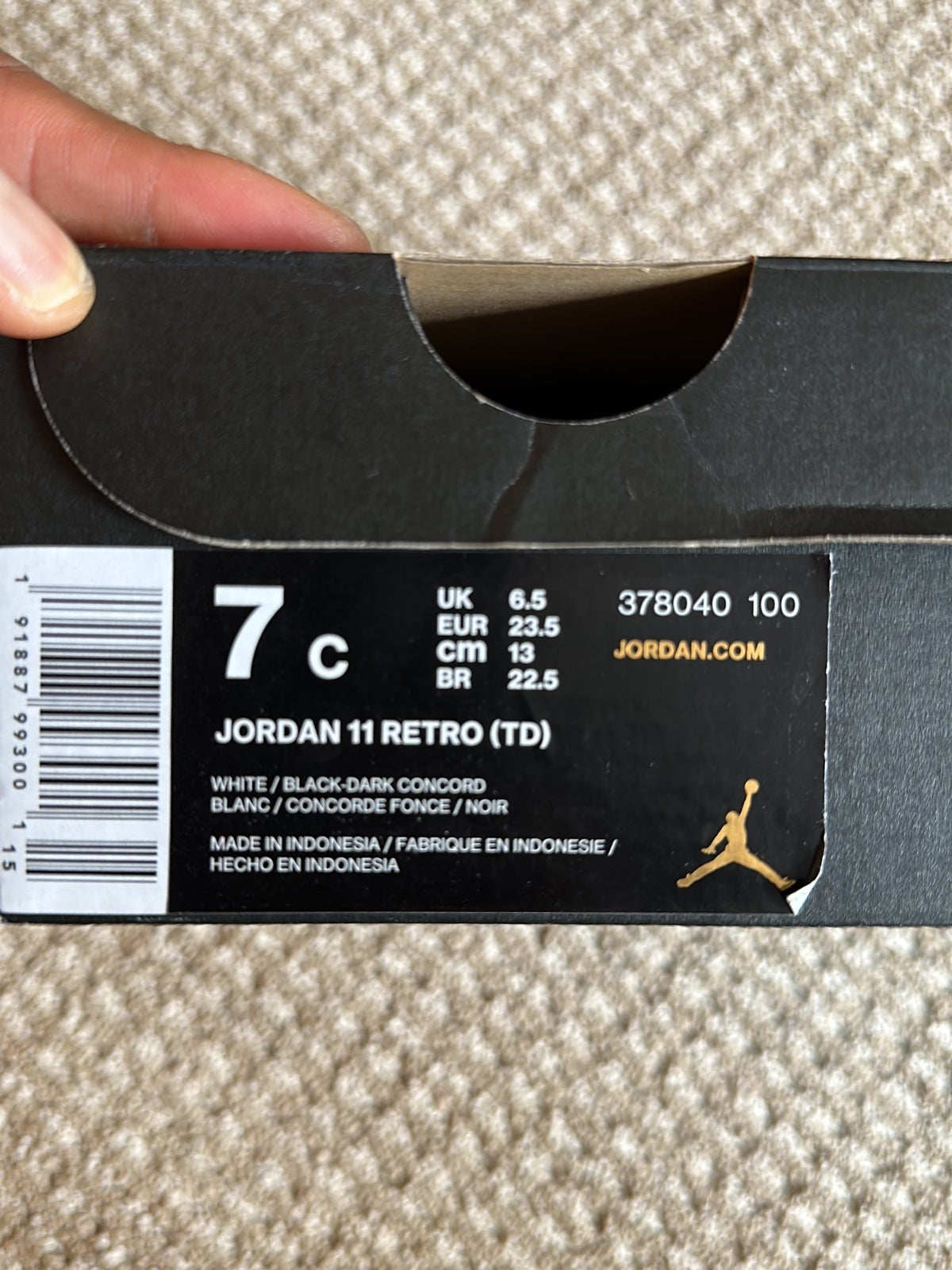 Air Jordan 11 retro concords