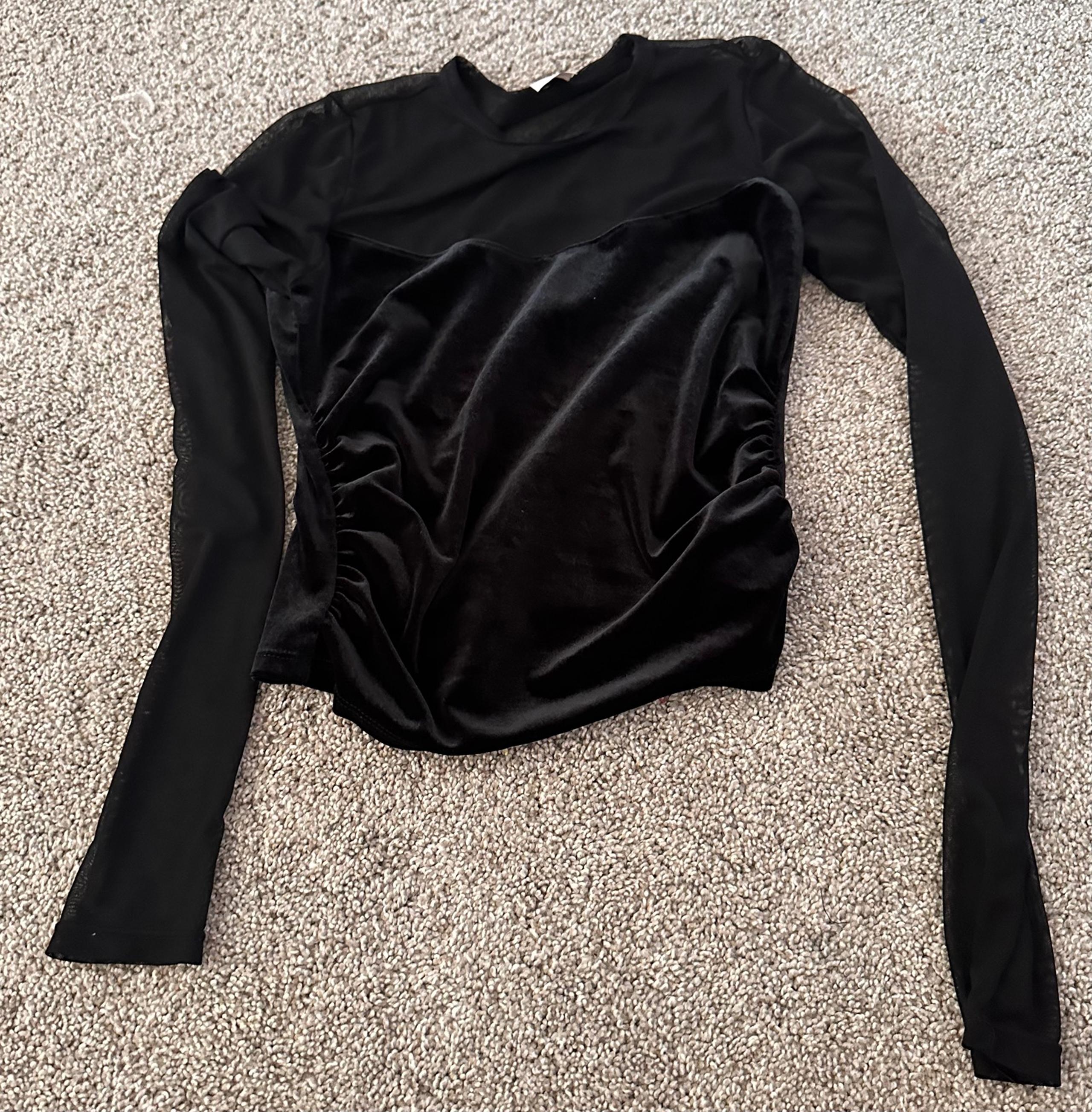 Wild Fable Sheer and Velvet Black top