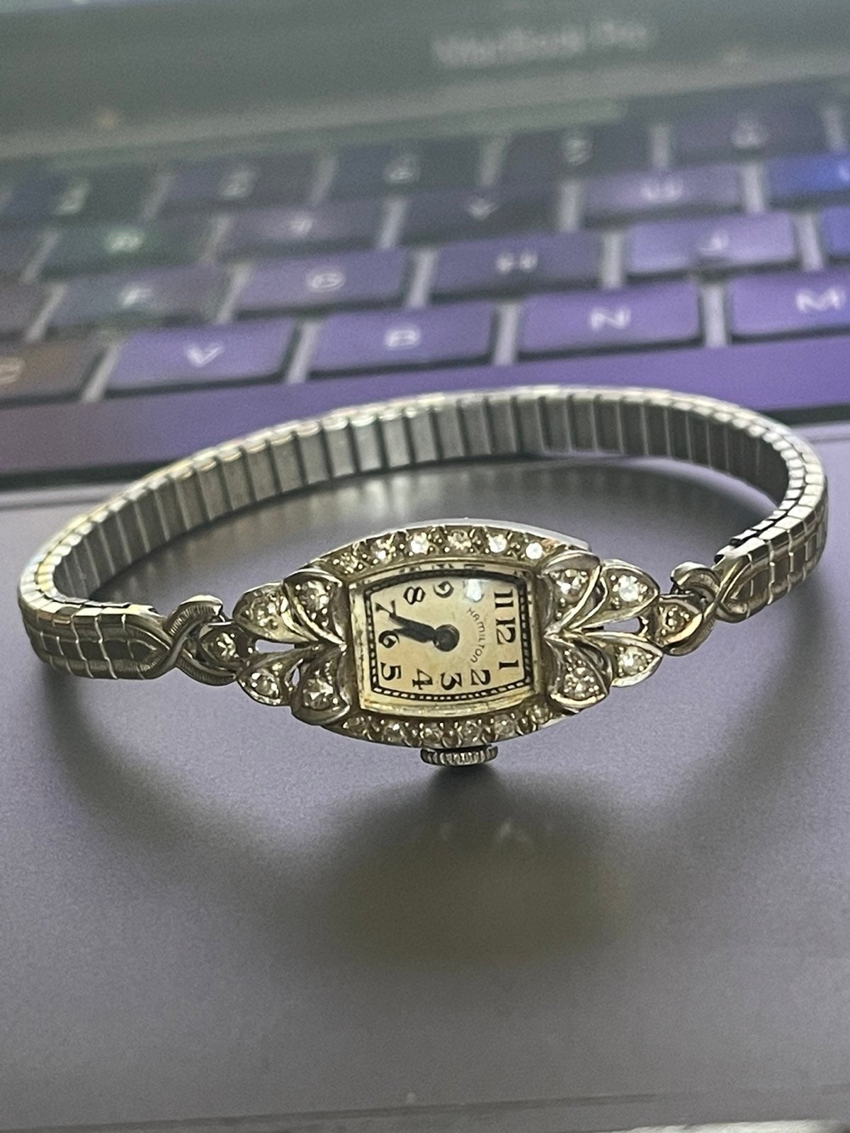 Hamilton Platinum and Diamond Ladies Watch