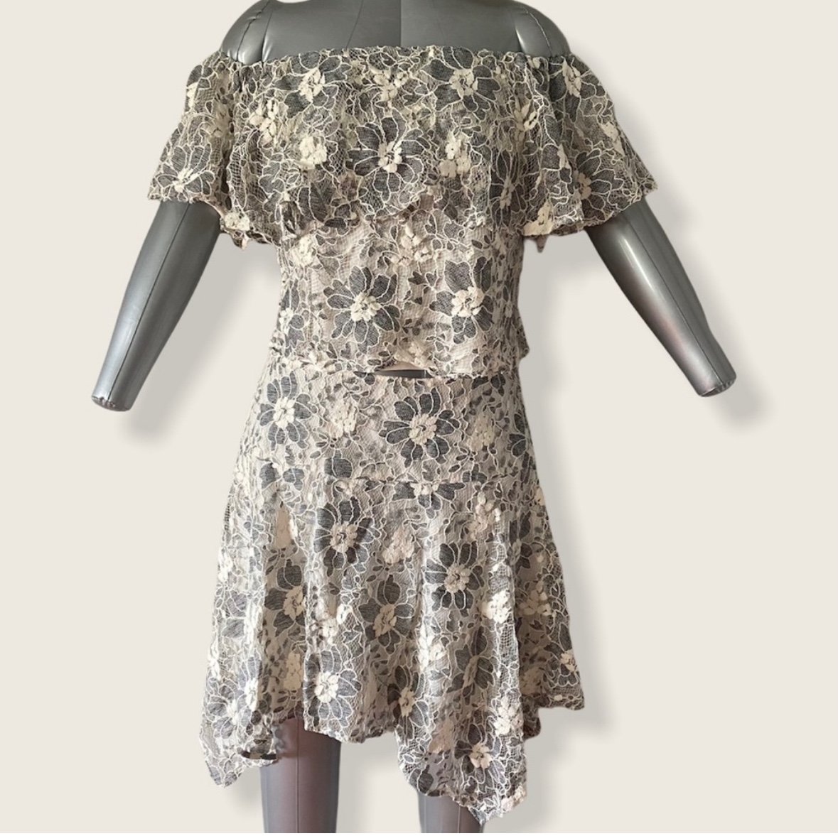 NWOT! RACHEL ROY Skirt and Top Set in Grey and Cream Lace