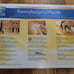 Sealed 2012 RAVENSBURGER 2000 pc Panorama Puzzle New York City 166947 US Seller