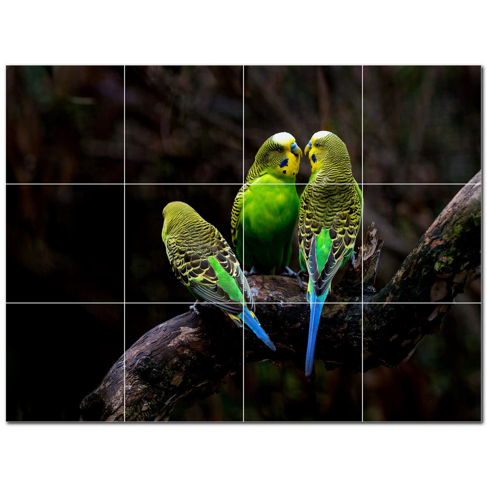Bird Ceramic Tile Wall Mural PT500146. 48 W x 36 H (12) 12x12 tiles