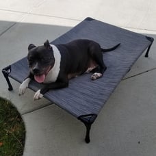 Cooling Elevated Dog Bed, Portable Raised Pet Cot with Washable & Breathable XL